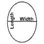 diagram_rectangle