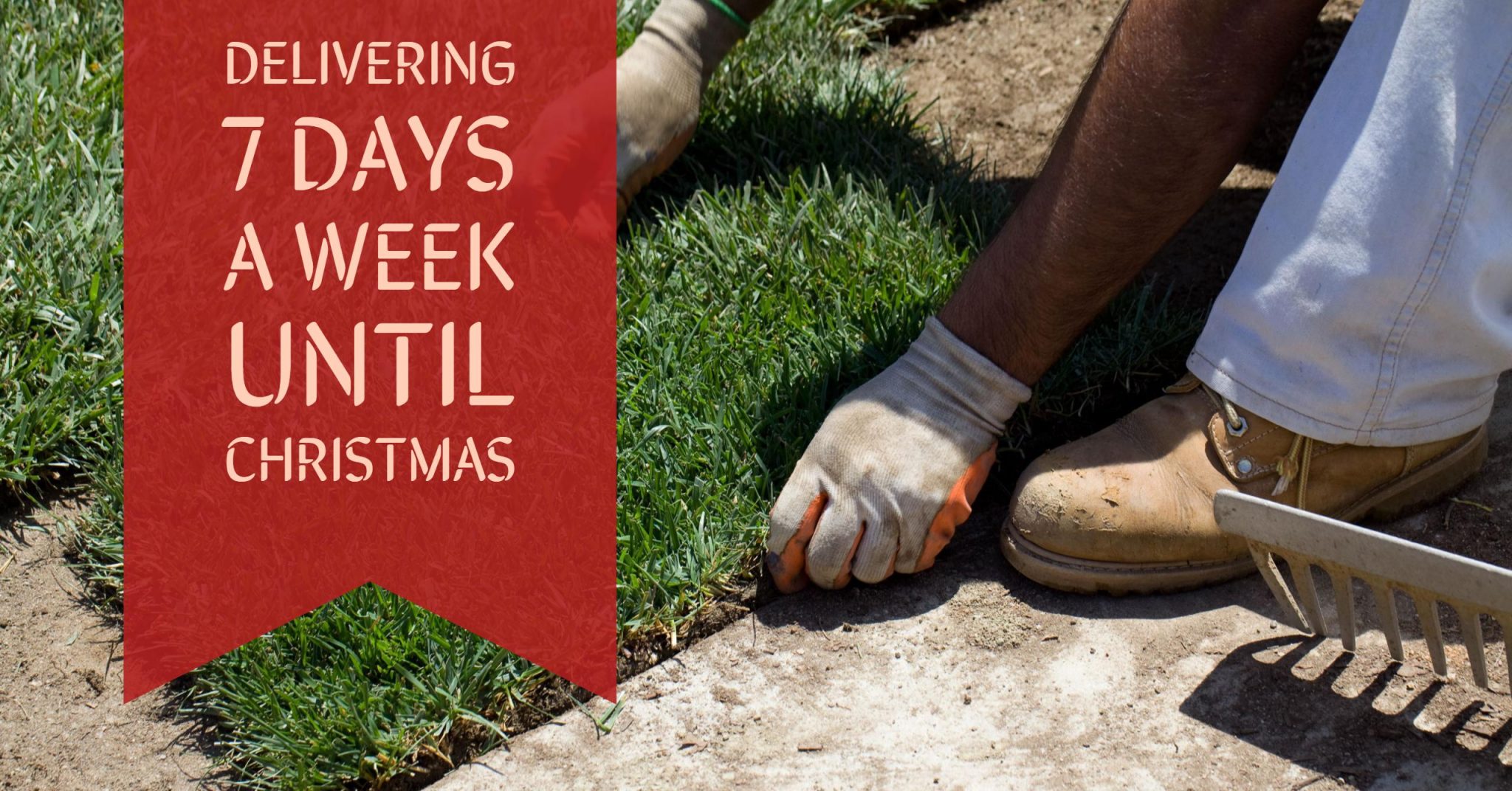 Delivery Grass 7 Days A Week Until Christmas 3 - Glenview Turf Suppliers