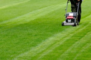 Lawn Mowing Glenview Turf Lawn Mowing Glenview Turf