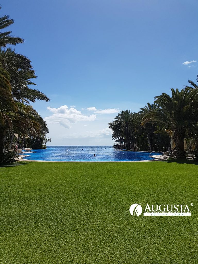 Augusta Zoysia Grass Lawn Pool 1e3 - Glenview Turf
