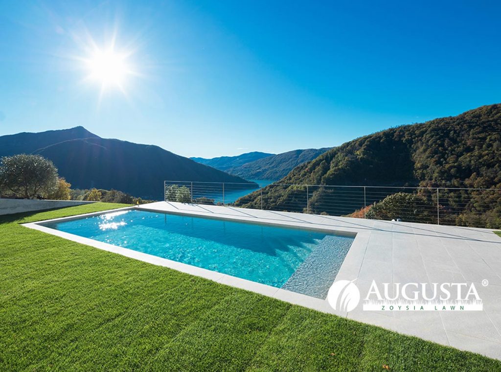Augusta Zoysia Grass Lawn Turf Pool 2e - Glenview Turf