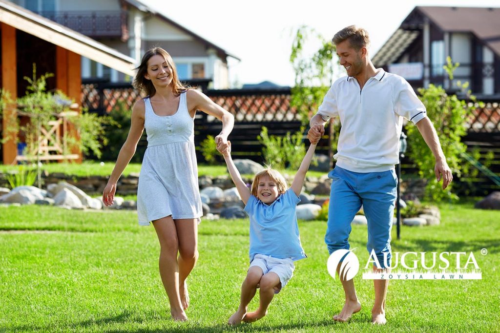 Augusta Zoysia Lawn Family 1e1 - Glenview Turf