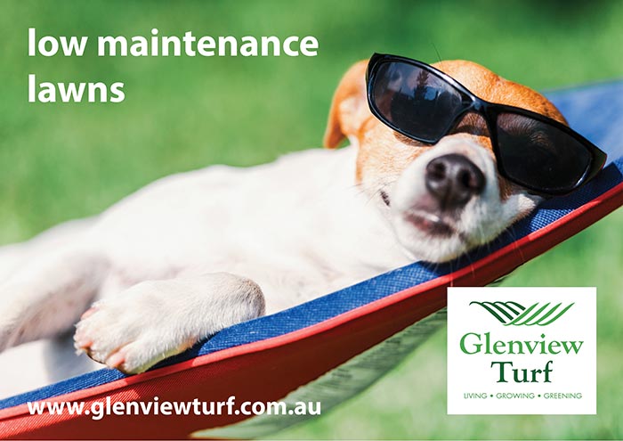 Glenview Turf Low Maintenance Lawns