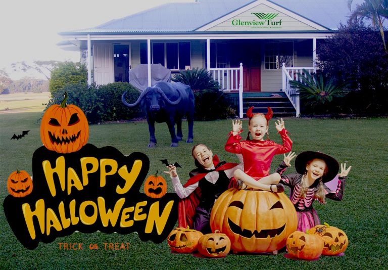 Happy Halloween from all the team at Glenview Turf