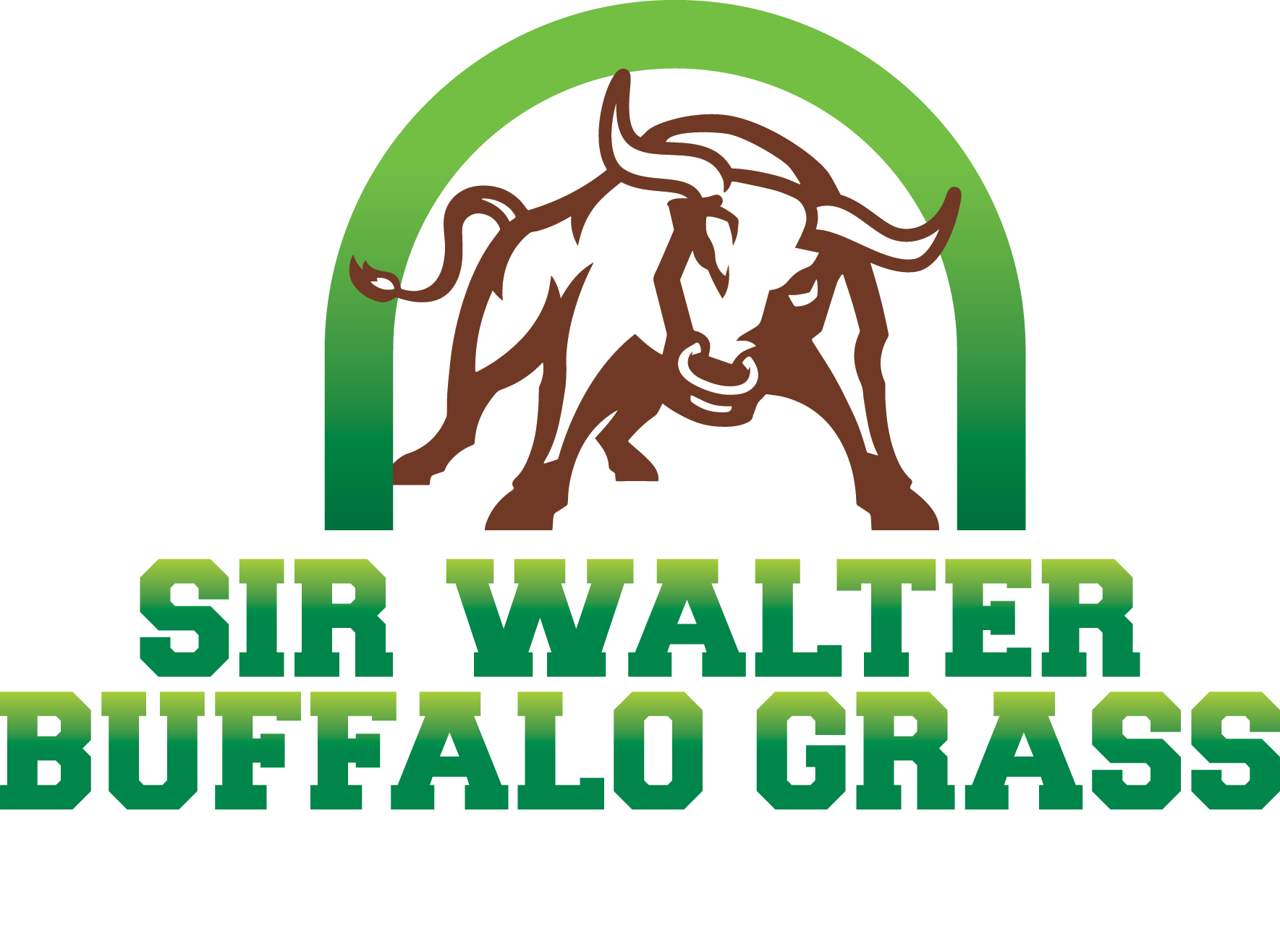 Sir Walter Buffalo Grass Logo Glenview Turf Glenview Turf Suppliers 